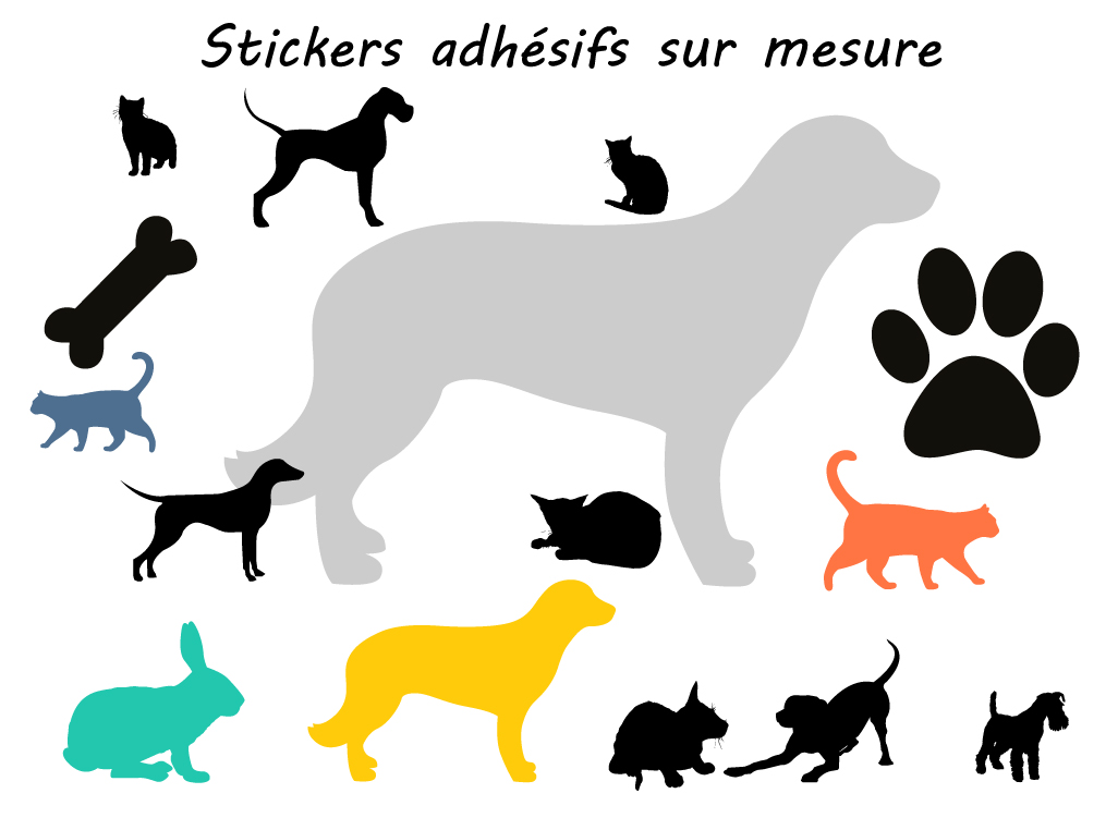 stickers vétérinaires, décoration vitres vétérinaire toulon, aix en provence, Marseille